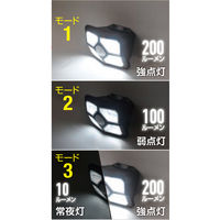 大進 人感 センサーライト ソーラーライト 屋外 防雨 LED DLS-WL008 1台（直送品）