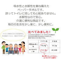 水に流せるペーパータオル L200ハード 1セット(1パック（200枚入）×10）イトマン