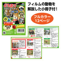 アーテック どうぶつプロジェクター 1個