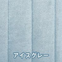 タグ・ホールディングス エアーかおる 敷きパッド シングル 日本製 4隅ゴム付き 一年中使用可 優しい肌触り ふわふわ 71002B 1枚（直送品）
