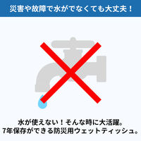 10年保存できる防災用ウェットティッシュ 5個 衛生用品 長期保存 ノンアルコール 無香料 防災グッズ 災害 清掃（直送品）