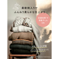 ラボン LAVONS トゥザムーン シャレボン オシャレ着洗剤 トワイライトマジックの香り 本体 500mL 1個 衣料用洗剤 ネイチャーラボ