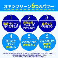 オキシクリーン 500g 粉末 酸素系漂白剤 無香料 1個 界面活性剤不使用 塩素不使用 消臭 洗濯 掃除