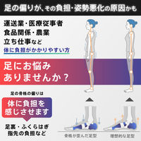 DXMED 超快適姿勢サポートインソール Eサイズ(26cm~26.5cm) WRK-E-1 1足（直送品）