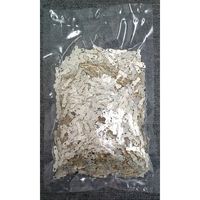 TOSEI 卓上型真空包装機 ガス封入機能付(タッチパネルタイプ) Vー393ーG 1台 611-7727（直送品）