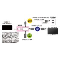 カシムラ Miracast HDMI 4K 給電用ポート付 USB-C KD-268 1台（直送品）