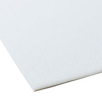 タカギ繊維 スポンジシート 24×27cm×厚み6mm 2枚入 M601-SS2 1セット/5個入（直送品）