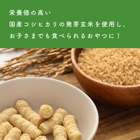 （7カ月頃から）カインデスト 手づかみおやつ 玄米スティック 6種の野菜としらす 1セット（1個（2袋入）×6）