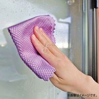 拭き跡が残りにくい マイクロファイバークロス 鏡・ガラス掃除 繊維がつかない 25×25cm 5色アソート 1パック（5枚組）ファイン