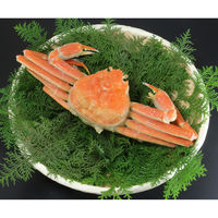 キングマカデミアンJAPAN ずわい蟹 K910020 1セット（直送品）