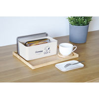 錦化成 スヌーピー フードコンテナ BE×CL-GR 4460216 1個