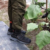 阪神素地 阪神 FU3009 ラク足袋撥水先丸 SS ブラック 1足（直送品）