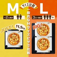 サンコー 「フードウォーマープレートM」ブラック FDWRPMSBK 1台