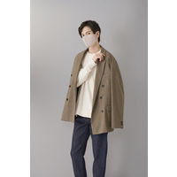 アイリスオーヤマ デイリーフィットマスク フィルタープラス ふつう ペールベージュ　RN-H20SXQ 立体型　不織布　使い捨て　1箱(20枚入)