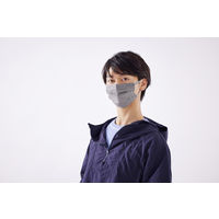 アイリスオーヤマ ナノエアーマスク ふつうサイズ アッシュグレー　PK-TN7LAG プリーツ　カラーマスク　不織布　使い捨て　1パック(7枚入)