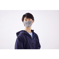 アイリスオーヤマ ナノエアーマスク ふつうサイズ アッシュグレー　プリーツ型　不織布　個包装　カラーマスク　PK-TN30LAG　1箱(30枚入)