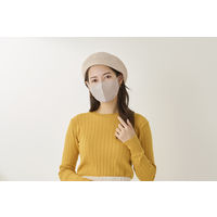 アイリスオーヤマ デイリーフィットマスク 立体 ふつうサイズ ペールベージュ　不織布　個包装　カラーマスク　RK-F5SXQ 1パック(5枚入)