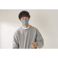 アイリスオーヤマ デイリーフィットマスク 立体 ふつうサイズ シャボン　不織布　個包装　カラーマスク　3層式　RK-F5SXF 1パック(5枚入)