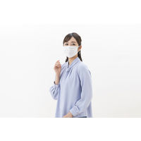 アイリスオーヤマ DAILY FIT MASK なめらかタッチふつうサイズ ホワイト　PK-DH50MW 1箱(50枚入)