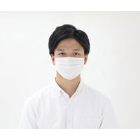 アイリスオーヤマ プリーツマスク ゆったり大きめサイズ ホワイト　PK-NV40LL　プリーツ　1箱(40枚入)