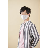 アイリスオーヤマ デイリーフィットマスク フィルタープラス ふつう ホワイト　RN-H20SW 立体型　1箱(20枚入)