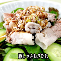 広東風ネギだれ 1kg 1本 ユウキ食品 業務用 大容量 特大 プロユース