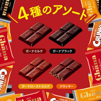 ガーナ＆クランキーシェアパック 4種アソート 約32枚入 1セット（1個×2） ロッテ チョコレート 個包装 お配り