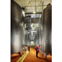 イタリア センシィ 18K プロセッコ ゴールド スパークリングワイン 白 辛口 750ml 1本　三菱食品