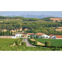 スペイン セグラヴューダス ブルート レゼルバ エレダード カヴァ スパークリングワイン 白 辛口 750ml 1本　三菱食品