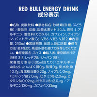 レッドブル・ジャパン レッドブル エナジードリンク 250ml 1缶（わけあり品）