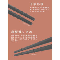 シービージャパン つかみやすい抗菌菜箸 4573306864509 1膳