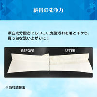 ファーファ 3倍濃縮 超コンパクト粉末洗剤 500g 1個 洗濯洗剤 NSファーファ・ジャパン