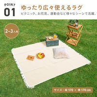 武田コーポレーション ピクニックラグ フリンジ PL24-170BE 1箱(8個入)（直送品）