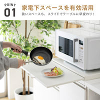 武田コーポレーション スライド式 レンジ下トレー LN-H-SAT55BK 1箱(3個入)（直送品）