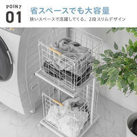 武田コーポレーション キャスター付き ワイヤーバスケット 2段 LN-H-KWB2BK 1箱(1個入)（直送品）