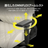 【軒先渡し】CORSAIR　ゲーミングチェア　オフホワイト　TC500 LUXE Frost　CF-9010067-WW　1脚（直送品）