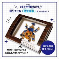 【アウトレット】【Goエシカル】訳あり 空想標本プラバンキット KSK05 1セット（400パック）ハピラ