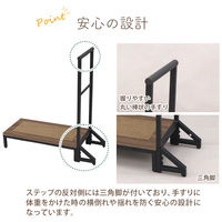 エイ・アイ・エス スチール製踏み台マット付き 手すり付き 幅735×奥行300×高さ765mm ブラウン AHFD-05 BR 1台（直送品）