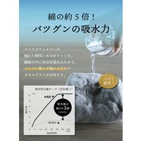 シービージャパン カラリデイ 吸水ヘアターバン ピンク 4573306867029 1枚