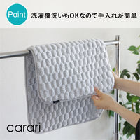 シービージャパン カラリポコ バスマット M グレー 4573306872689 1枚