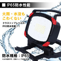 長輝LITETEC ワークライト DCWL-3300C 1個（直送品）