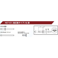 ニッセンリベット 丸頭 ＮＳＴ６-３ＥＸ（ＮＳＴ６３ＥＸ）ヒノマル　1箱（1000本）（直送品）