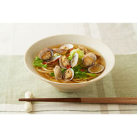 日清食品 [冷蔵] 日清食品チルド もちっとロカボ麺 中細麺 1人前×10個 4548780541475 1セット(10個)（直送品）