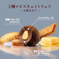 ロッテ プレミアムガーナ 2種のビスキュイトリュフ ＜大粒仕立て＞ 4個 チョコレート