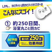 リベルタ カビダッシュ 防カビ・バイオバスター 905338 1セット(1箱×3)