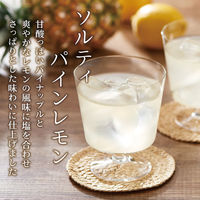 不二食品 ソルティーパインレモン 1袋（5包入）