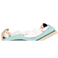 モルテン ピーチ ラージ MPHL 1個