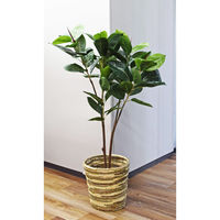 アスカ商会 ラバーツリー(ポット付) A-50802-051A 1個（直送品）