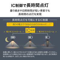 タカショー ソーラーポールライト CUBE LGS-EL01 1個（直送品）