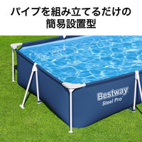 グランドプール 3mX2.01mX66cm 56404 1台